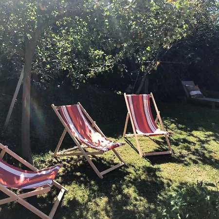 & 5 Stars Alpaga Chalet Manigod